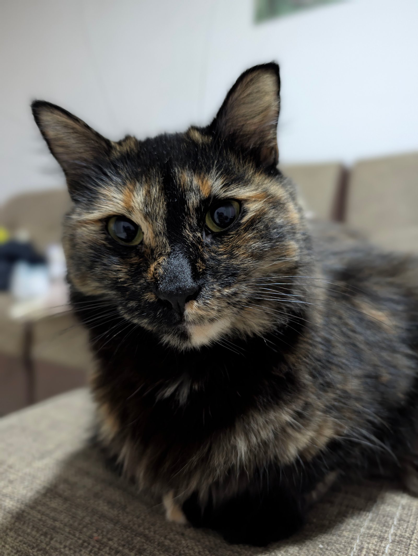 Ricardo Omar Hernandez